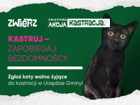 ZWIERZ-akcja-kastracja-2024-fb-post-2