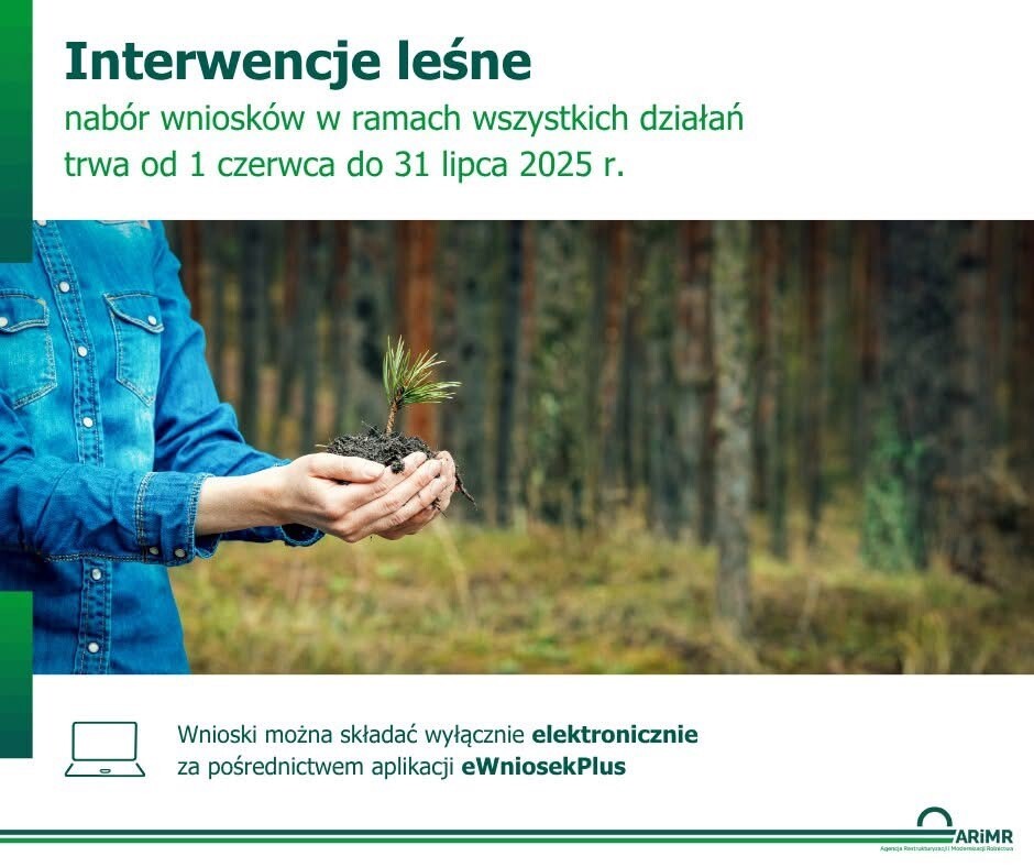 Interwencje leśne 1.06-31.07.2025