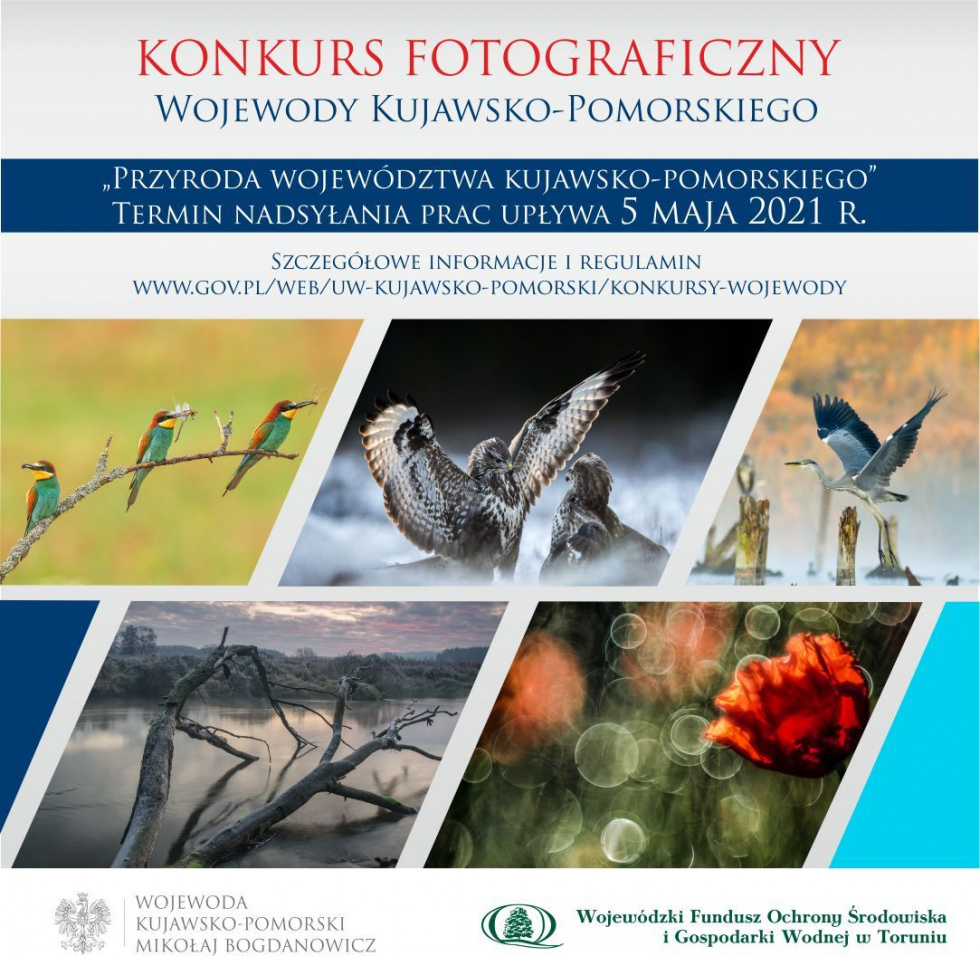 Konkurs fotograficzny