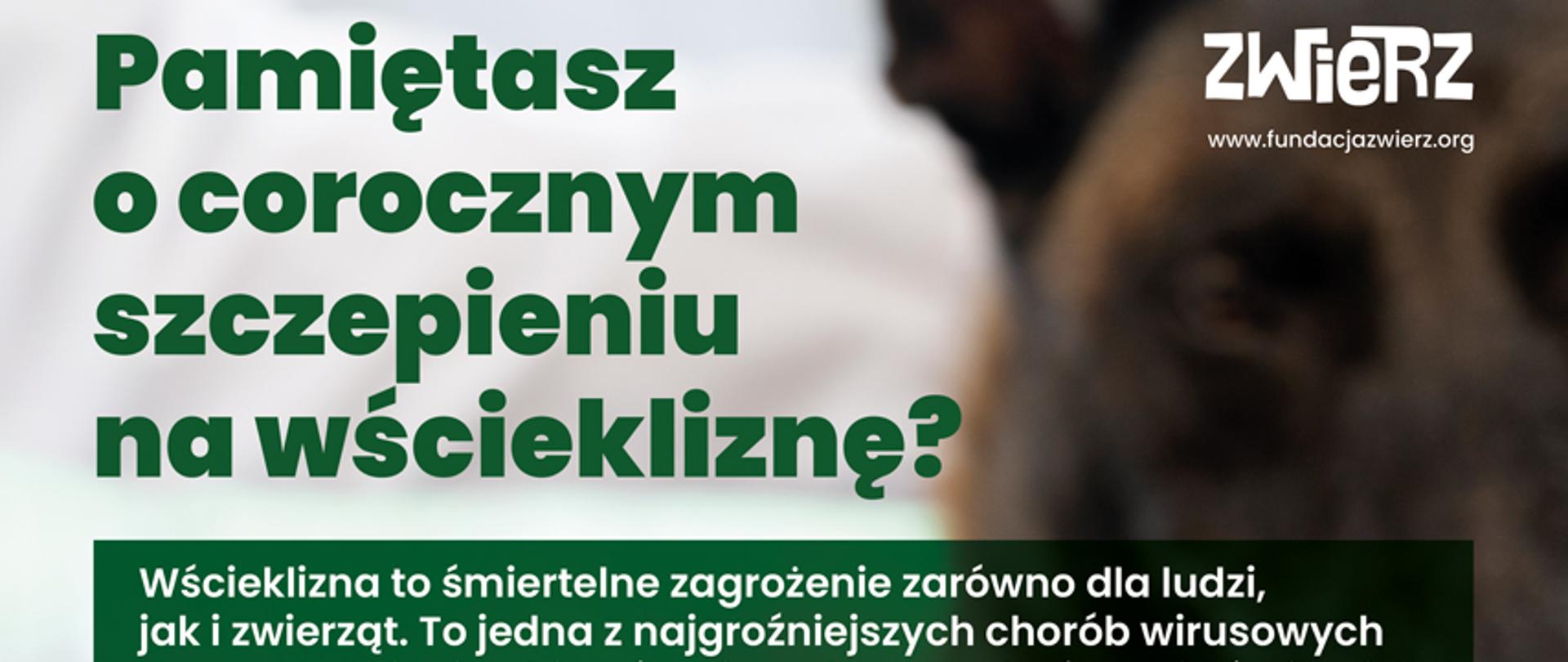 Wścieklizna - śmiertelne zagrożenie